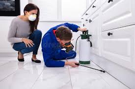 Best Fumigation Services  in Orange, CA